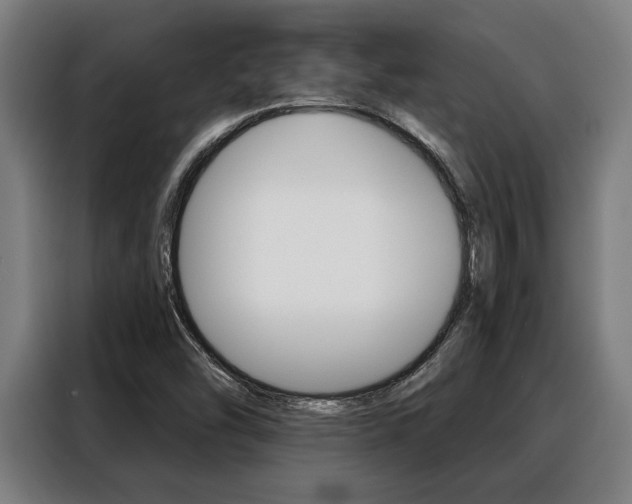 X0000088391454200705220751