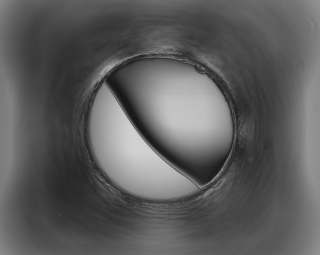 X0000088391455200705220751