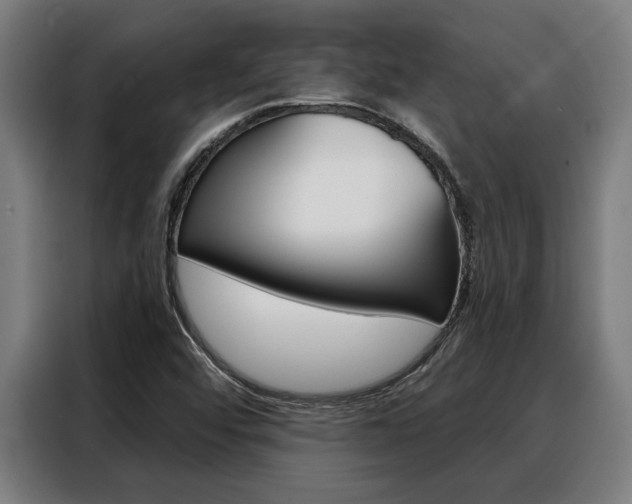 X0000088391456200705220751