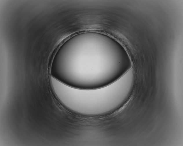 X0000088391457200705220751