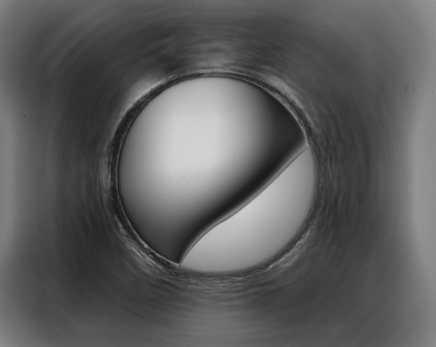 X0000088391458200705220751