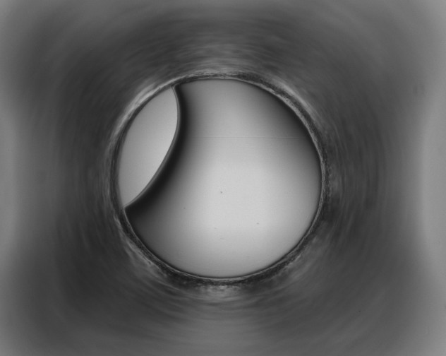 X0000088391459200705220751