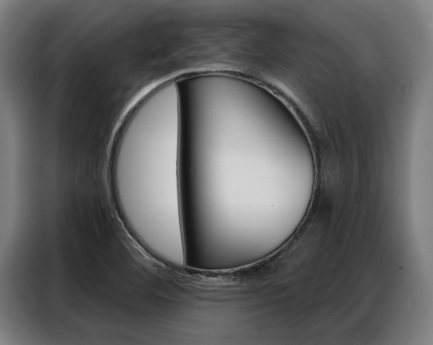 X0000088391460200705220751