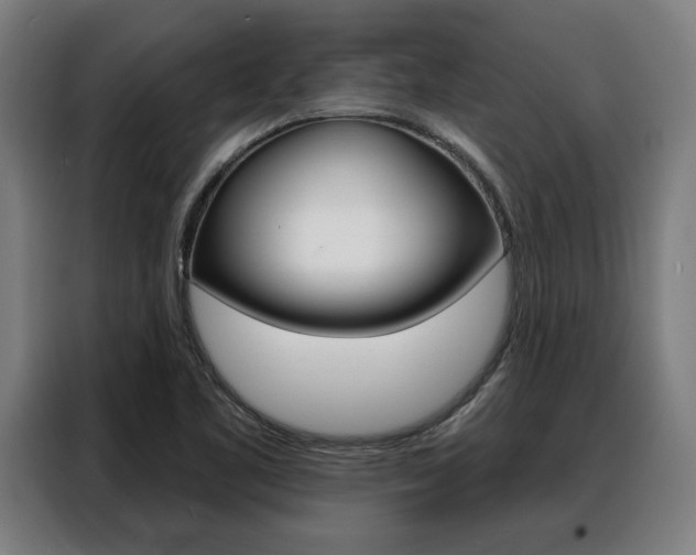 X0000088391461200705220751