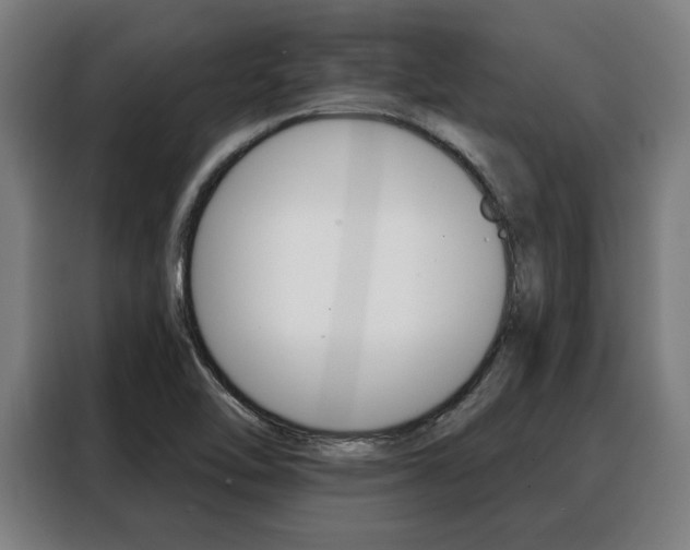 X0000088391462200705220751