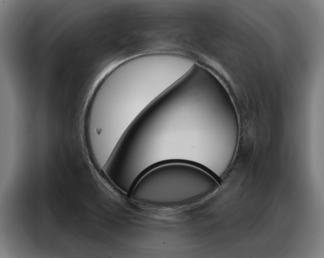 X0000088391463200705220751