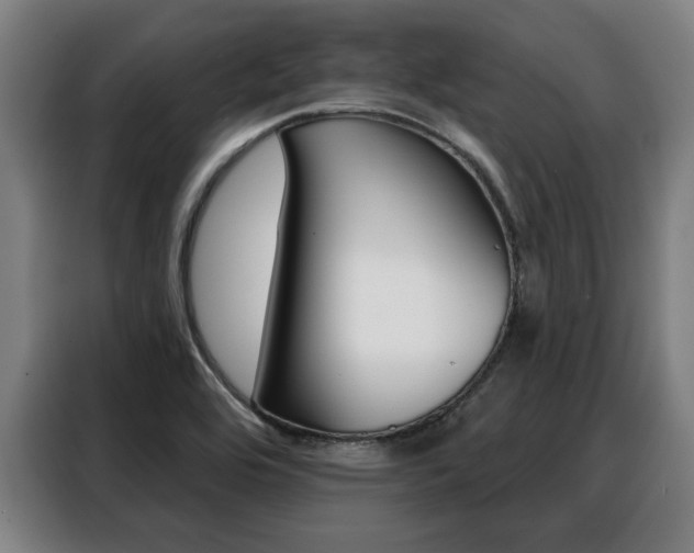 X0000088391464200705220751