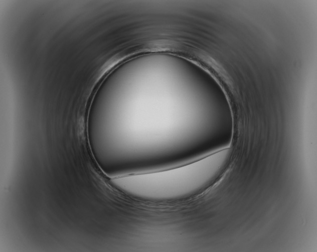 X0000088391465200705220751