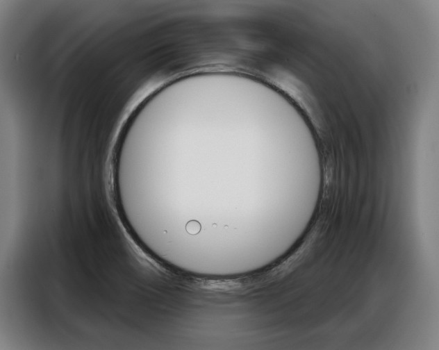 X0000088391466200705220751