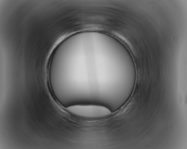 X0000088391467200705220751