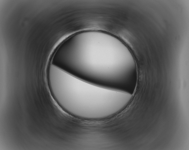 X0000088391468200705220751
