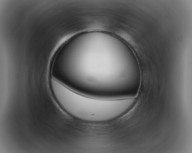 X0000088391469200705220751