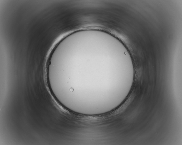 X0000088391470200705220751