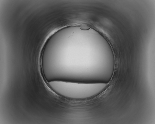 X0000088391471200705220751