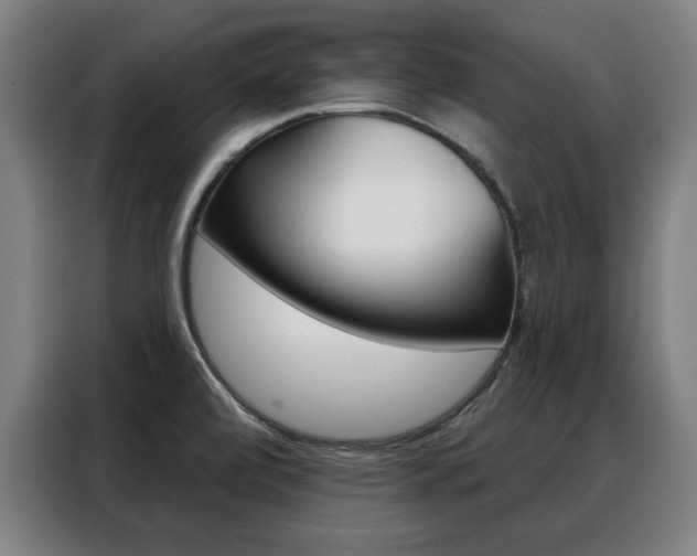 X0000088391472200705220751