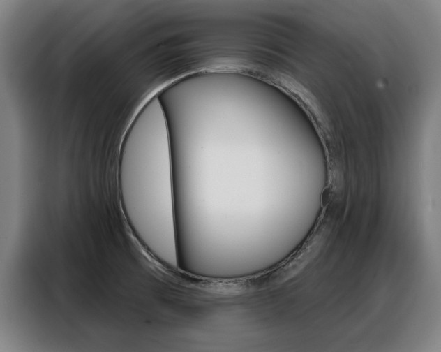 X0000088391473200705220751