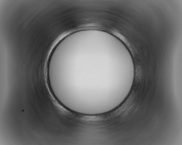 X0000088391474200705220751