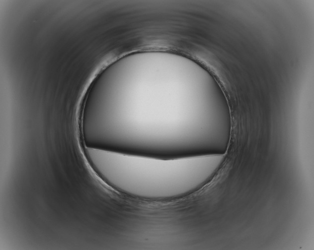 X0000088391475200705220751