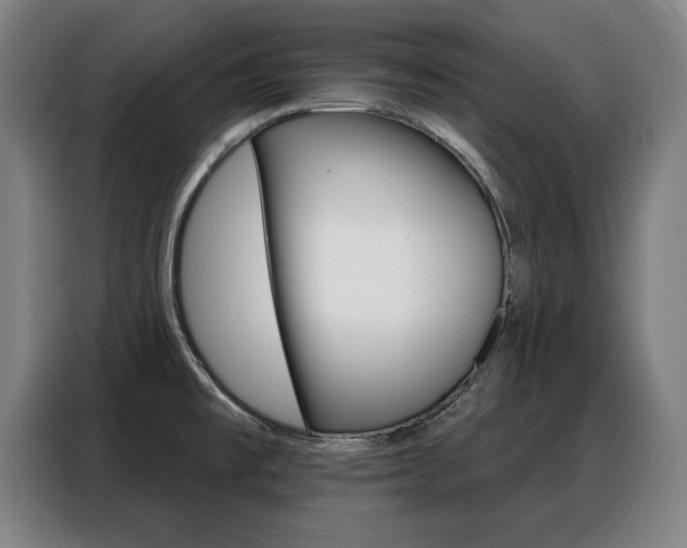X0000088391477200705220751