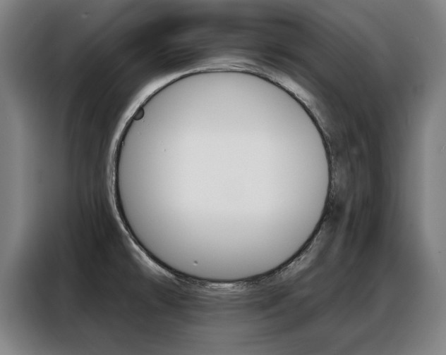X0000088391478200705220751