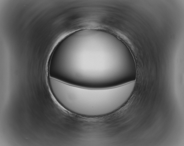 X0000088391479200705220751
