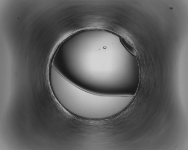X0000088391480200705220751