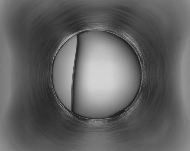 X0000088391481200705220751