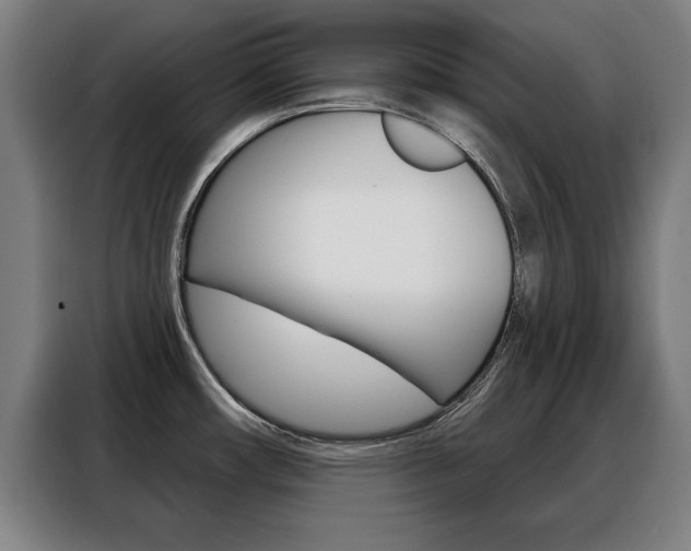 X0000088391482200705220751