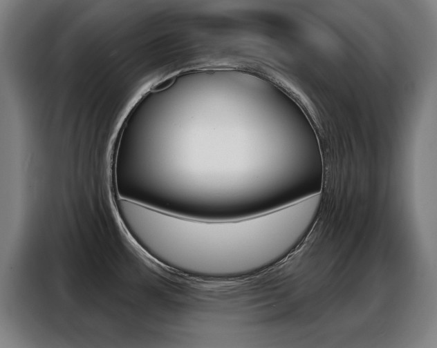 X0000088391483200705220751