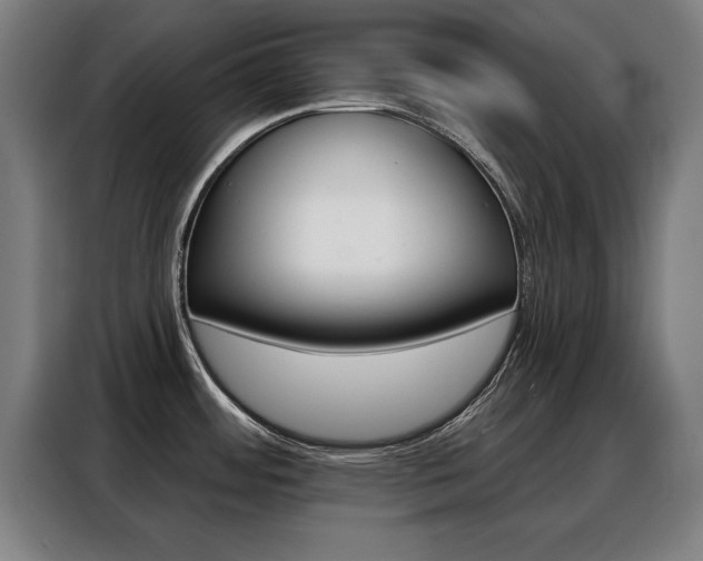 X0000088391484200705220751