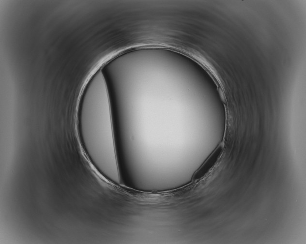 X0000088391485200705220751