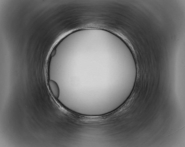 X0000088391486200705220751