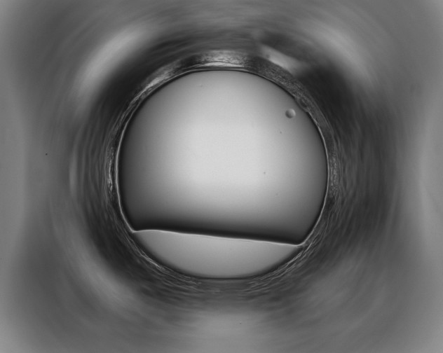 X0000088391487200705220751