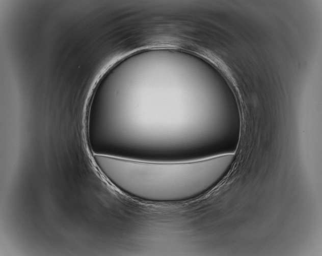 X0000088391488200705220751