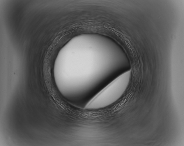 X0000088391489200705220750