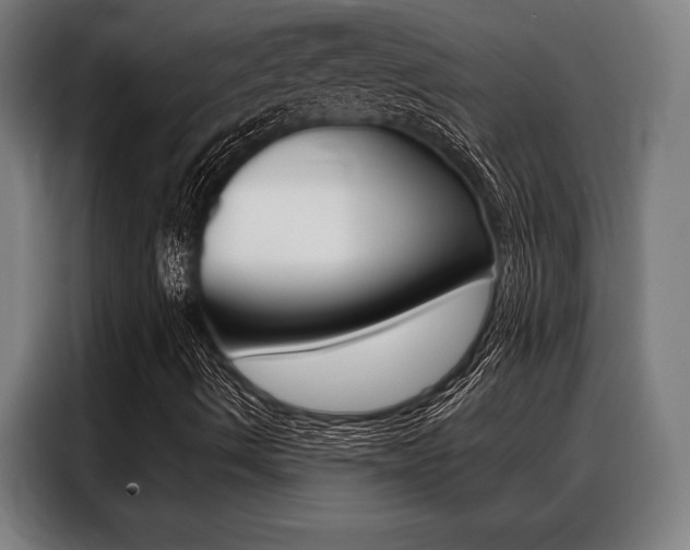 X0000088391490200705220750