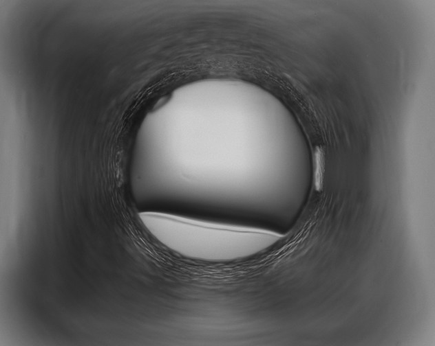 X0000088391491200705220750