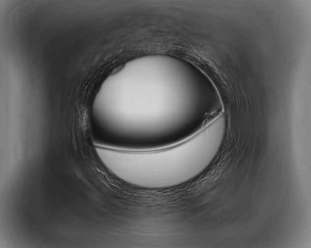 X0000088391492200705220750
