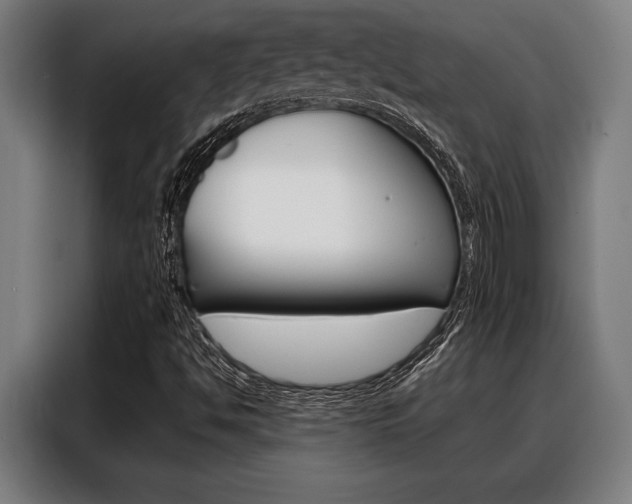 X0000088391494200705220750