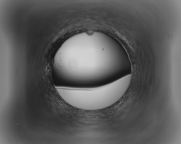 X0000088391495200705220750
