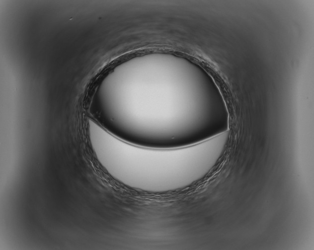 X0000088391496200705220750