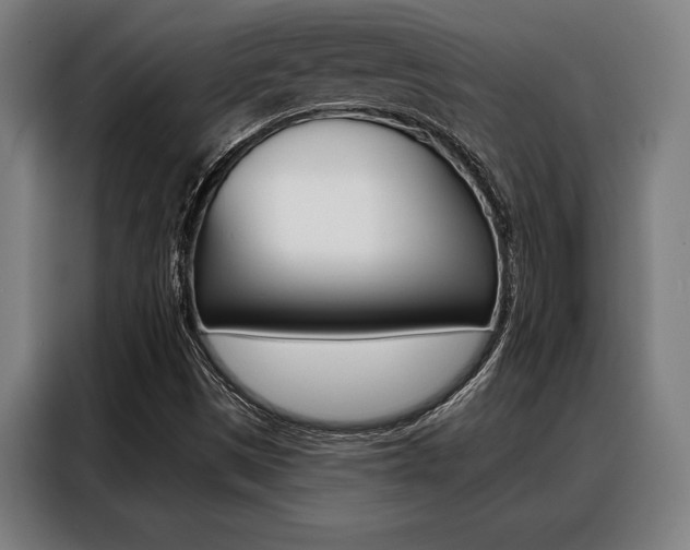 X0000088391497200705220750