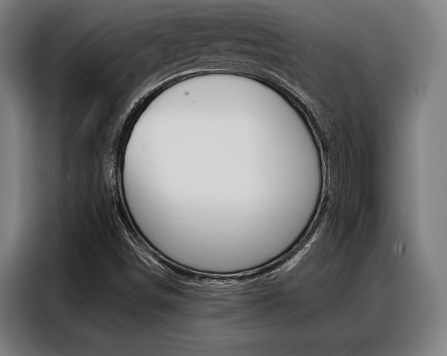 X0000088391498200705220750