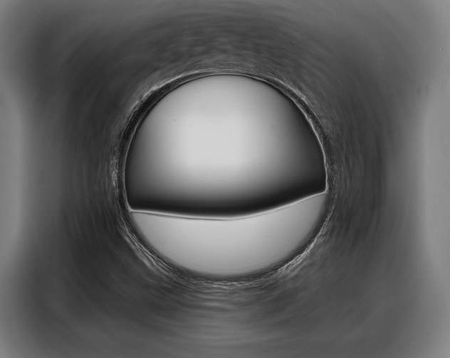 X0000088391499200705220750