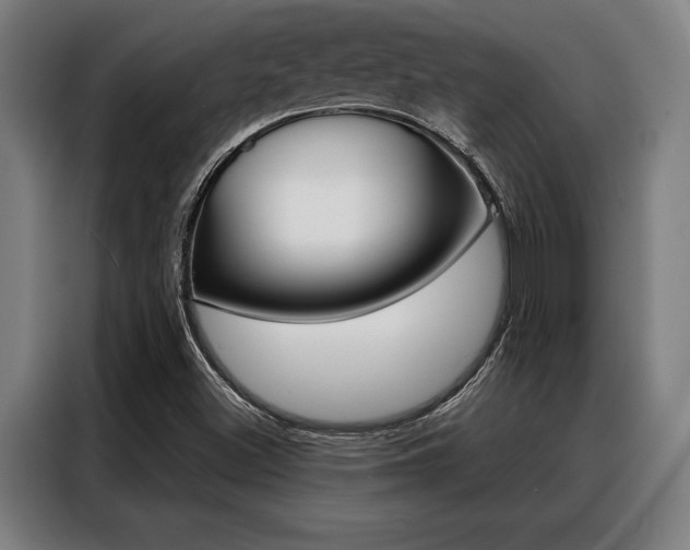 X0000088391500200705220750