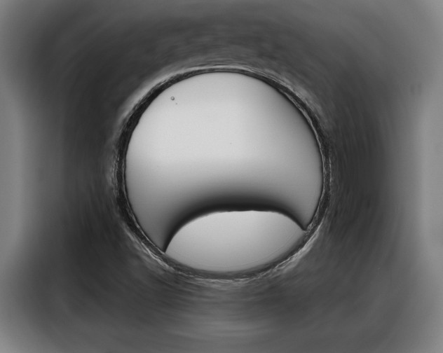 X0000088391502200705220750