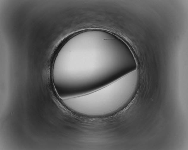 X0000088391503200705220750