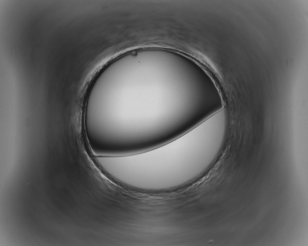 X0000088391504200705220750