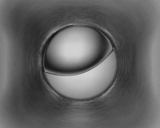 X0000088391506200705220750