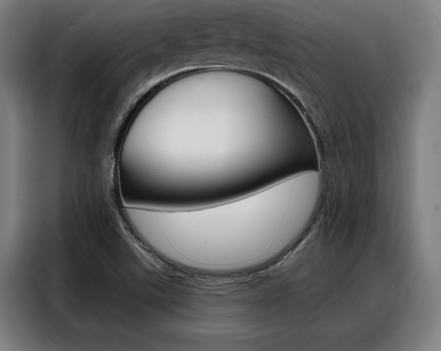 X0000088391507200705220750